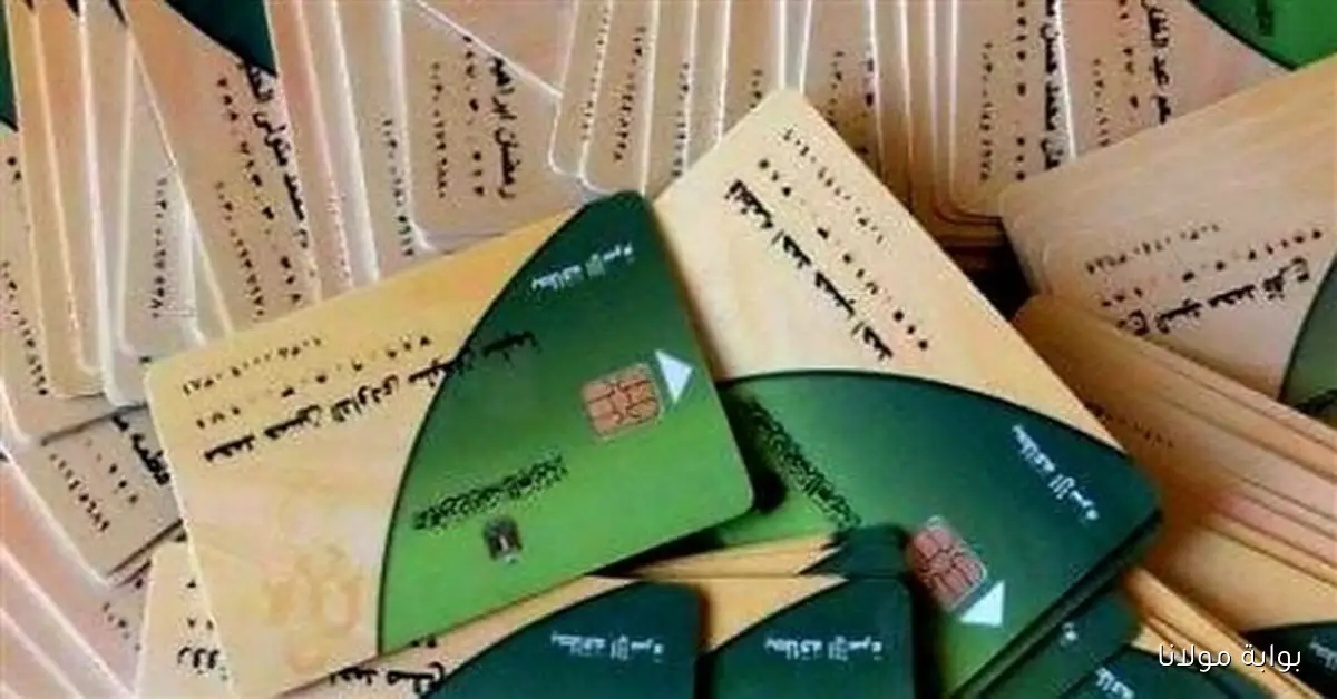 الرابط الرسمي وخطوات التسجيل لإضافة المواليد على بطاقة التموين 2025