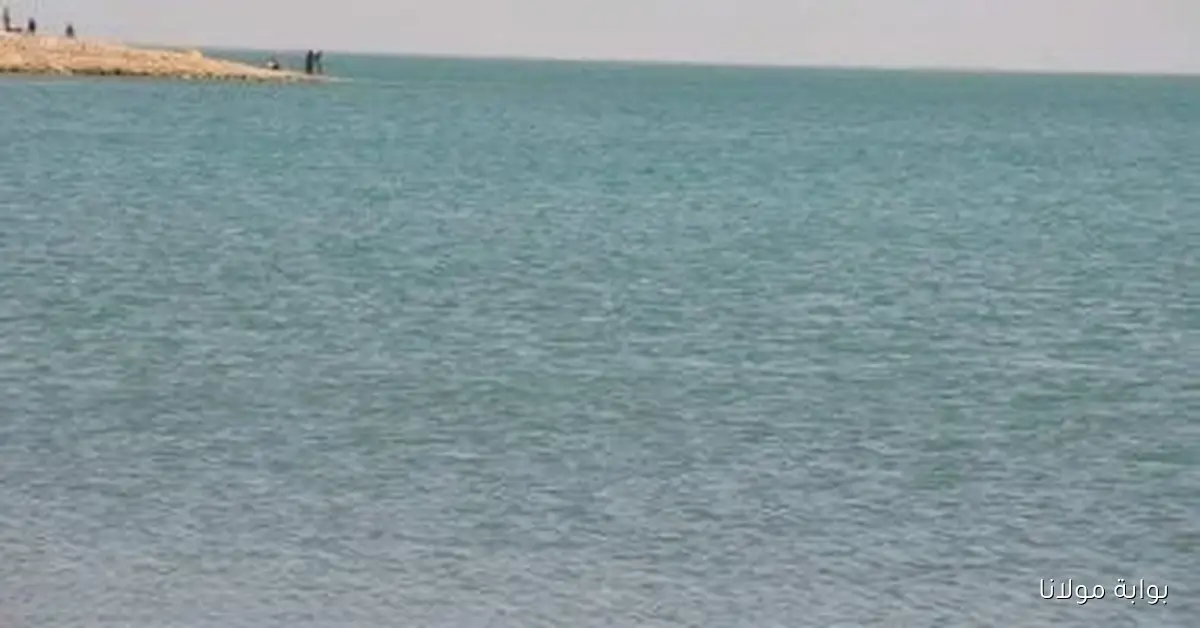 الري تعزز قناة ومفيض توشكى لمواجهة التحديات المائية وتحسين المنظومة الزراعية