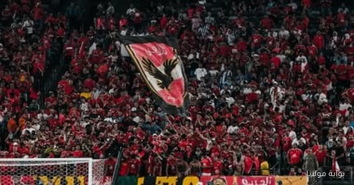 الزمالك يرفع شكوى رسمية ضد جماهير الأهلي بسبب هتافات مباراة الاتحاد السكندري