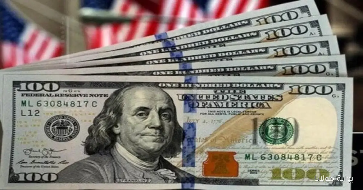 «السعر يطير».. آخر تحديث لسعر الدولار اليوم الأربعاء 22 أكتوبر 2025