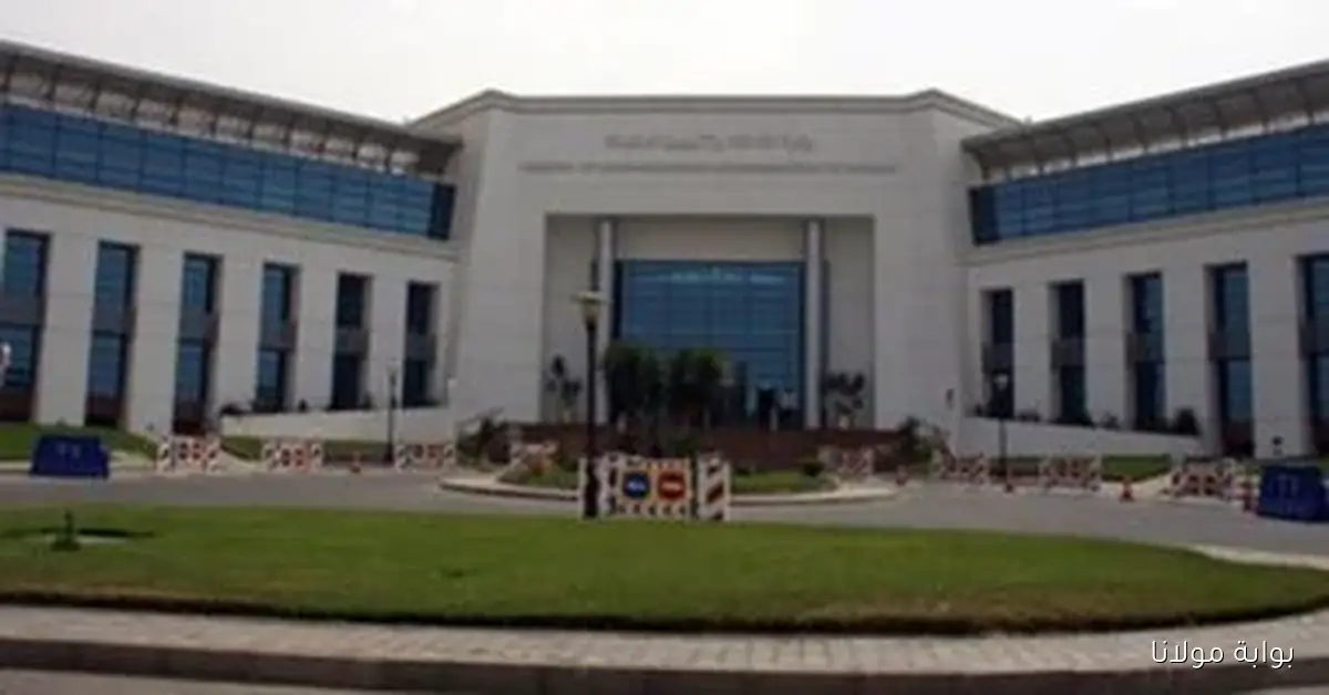 العدالة الرقمية تفتح آفاقاً جديدة لخدمات قضائية أسرع وأكثر شفافية