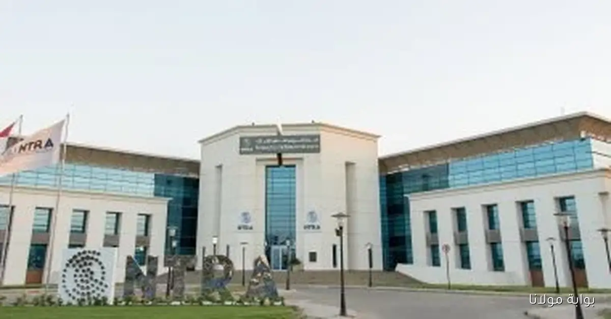 المنافسة تشتعل بين إي آند وأورنج كاش في سباق المحافظ الإلكترونية لمواجهة فودافون