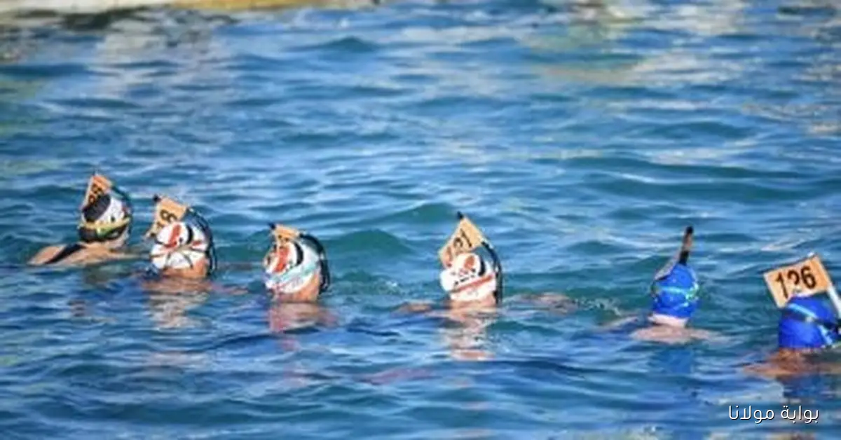 اليوم الثاني من بطولة العالم للسباحة بالزعانف ينطلق بأجواء مثيرة