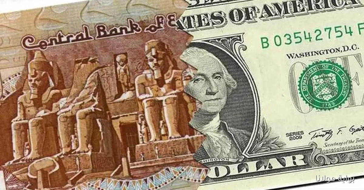 انخفاض ملحوظ في سعر الدولار مقابل الجنيه في الوقت الحالي