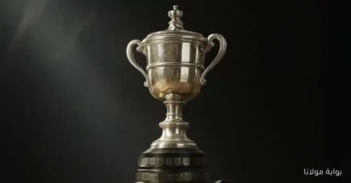 انطلاق المرحلة التمهيدية الثالثة من كأس مصر بمشاركة 44 فريقًا اليوم