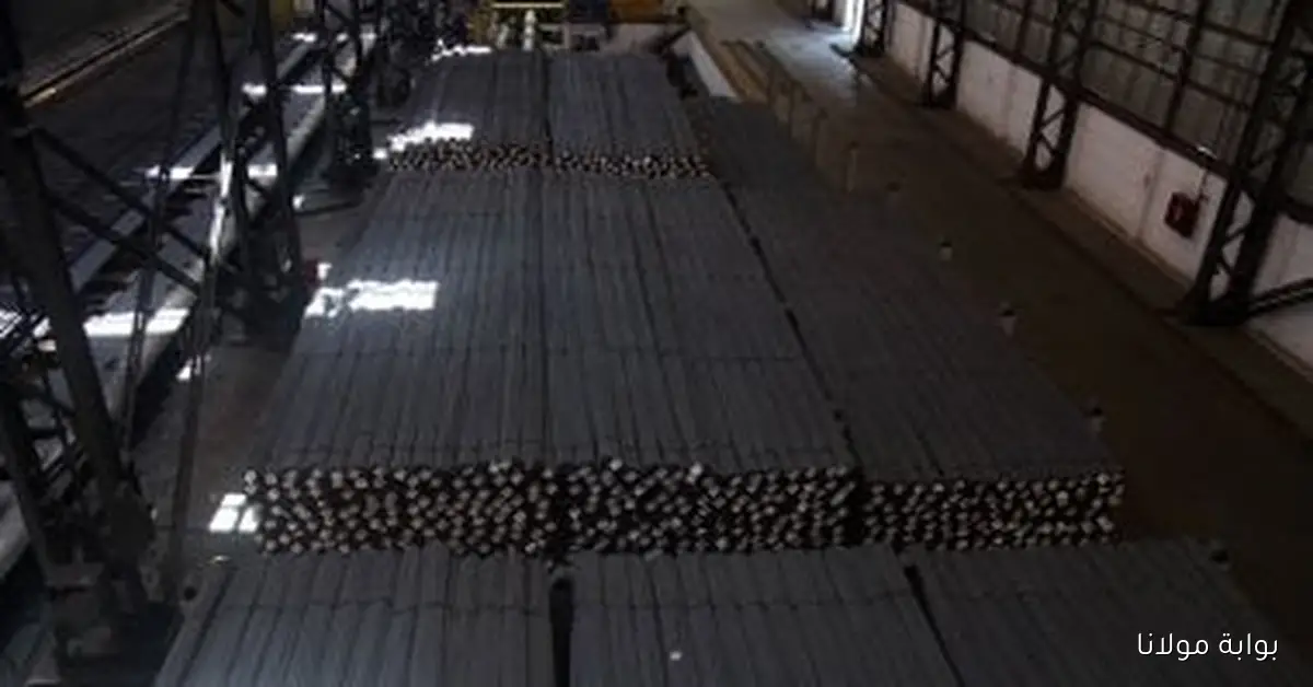 عز بكام .. انهيار تاريخي في سعر طن الحديد اليوم الخميس 2 أكتوبر 2025