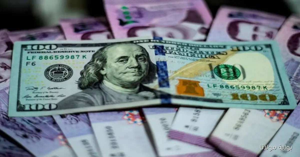 صدمة في سعر الليرة السورية مقابل الدولار تسجل أدنى مستوى تاريخي في دمشق وحلب وإدلب اليوم 2 أكتوبر 2025