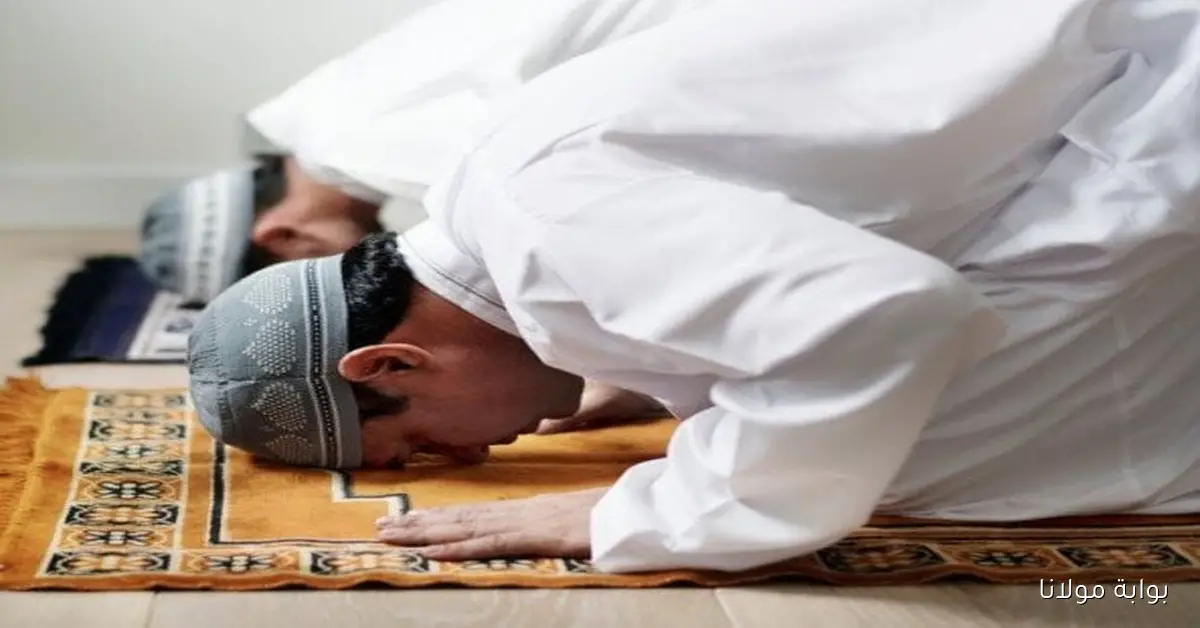 الساعه كام الظهر.. مواقيت الصلاة في مصر اليوم الأربعاء 1 أكتوبر 2025 القاهرة والمحافظات