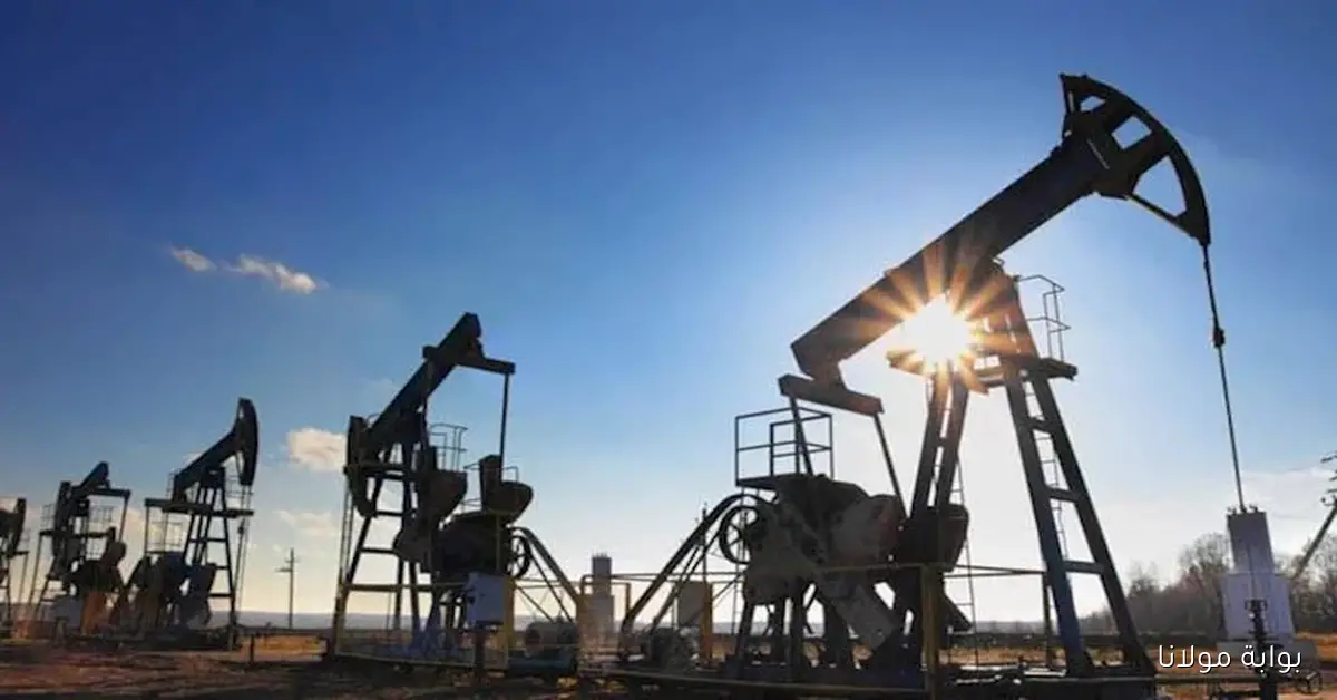 بعد تصريحات ترامب.. هل نشهد انخفاضاً في أسعار النفط إلى ما دون دولارين للبرميل؟