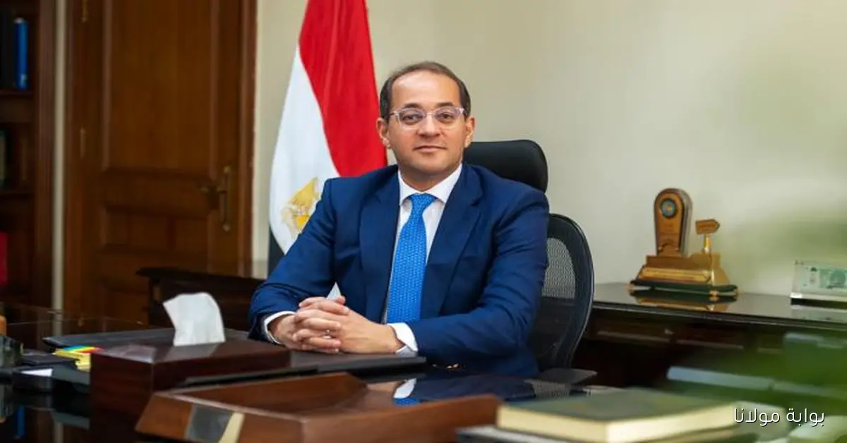 بعد تعزيز التصنيف الائتماني.. وزير المالية المصري يؤكد اعتراف المؤسسات الدولية بجدية إصلاحاتنا