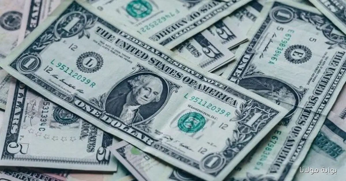 بعد خفض الفائدة من المركزي آخر سعر لـ الدولار مقابل الجنيه المصري اليوم الجمعة 3 أكتوبر