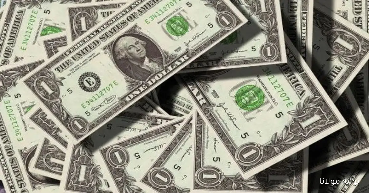 بكام النهاردة USD؟.. سعر الدولار في القاهرة اليوم الأحد 5-10-2025