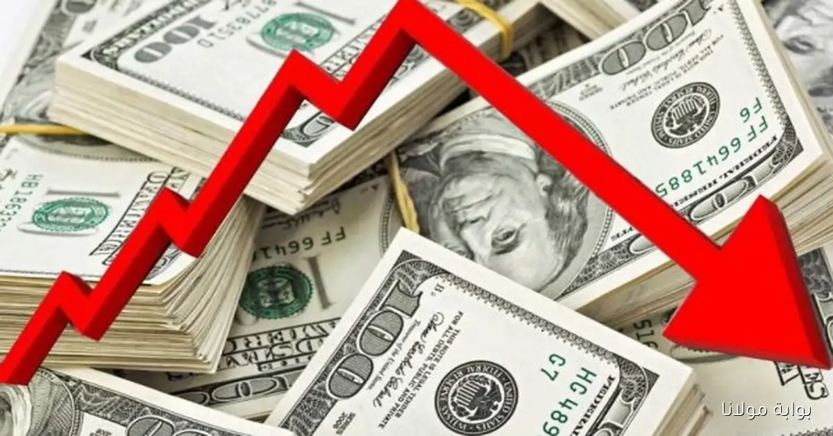 تابع أحدث أسعار الدولار في مصر اليوم