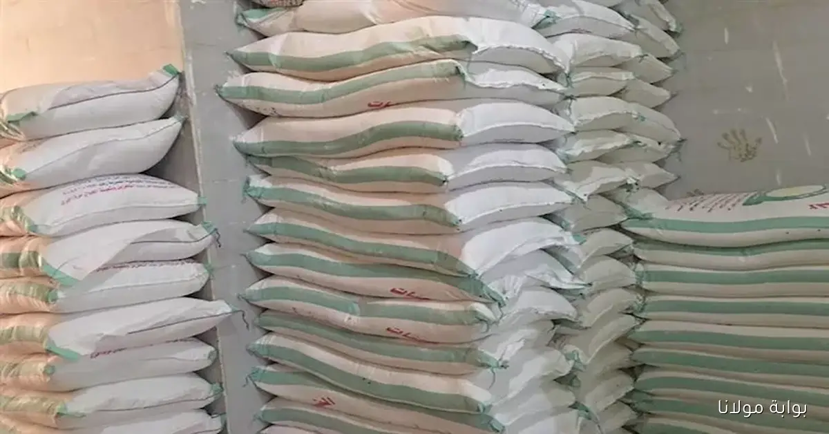 تباين أسعار المواد الغذائية في الأسواق اليوم مع انخفاض الدقيق والعدس وارتفاع زيت الطهي