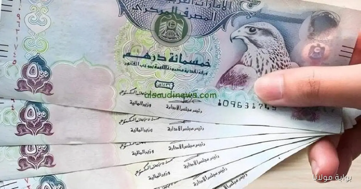 تحديث أسعار الدرهم الإماراتي مقابل الجنيه المصري اليوم الأحد 12 أكتوبر 2025