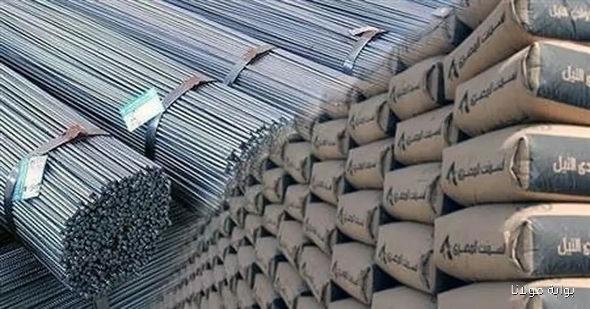 تحديث أسعار مواد البناء في مصر ليوم 8 أكتوبر 2025