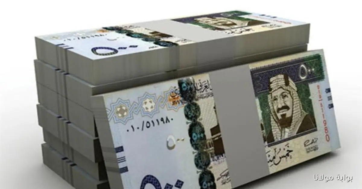 تحديث سعر الريال السعودي في مصر مقابل الجنيه اليوم 2 أكتوبر 2025