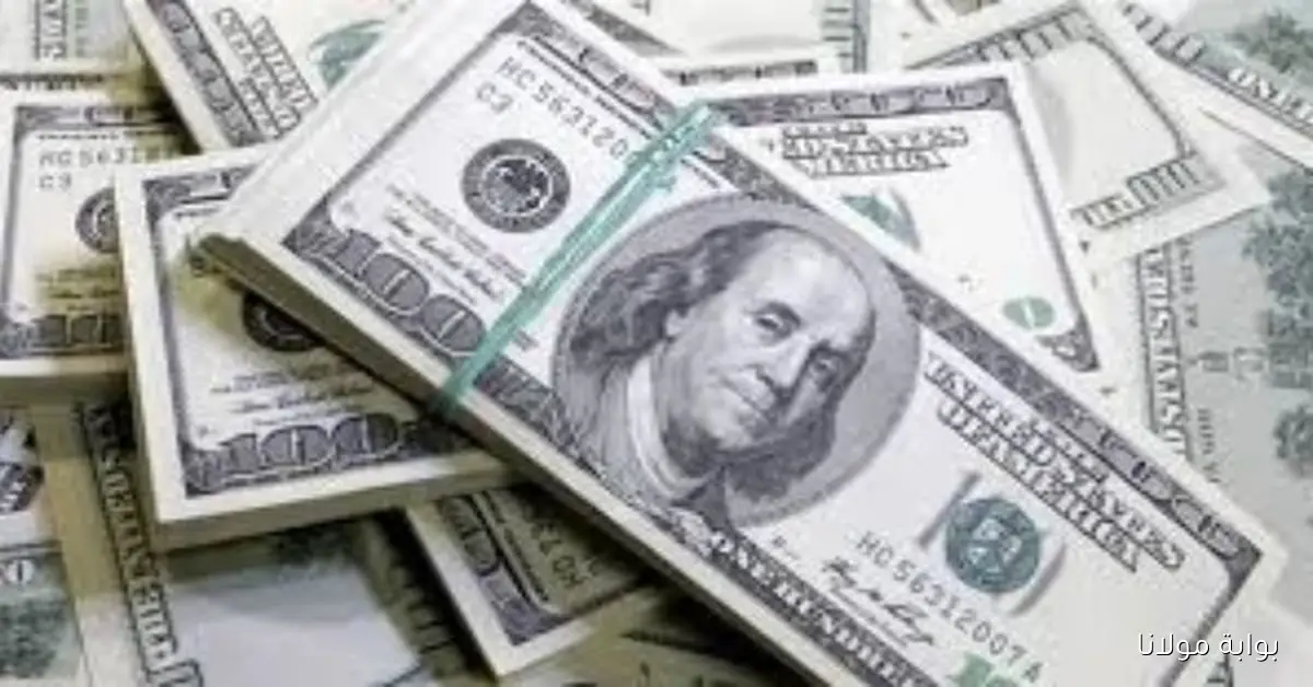 تحديثات أسعار الدولار أمام الجنيه اليوم الجمعة 17 أكتوبر 2025