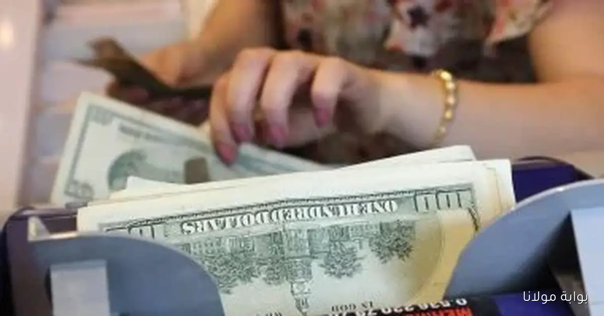 تحديثات أسعار العملات اليوم الأربعاء 8 أكتوبر 2025 والدولار يصل إلى 47.46 جنيها