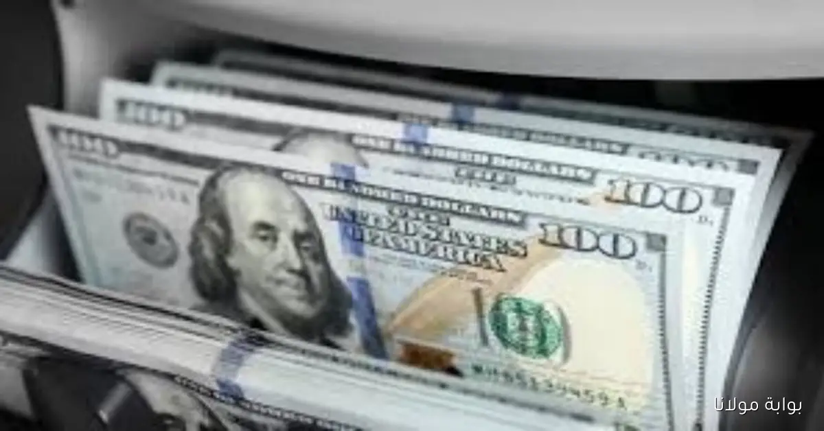 تحديثات حول سعر الدولار في مصر اليوم