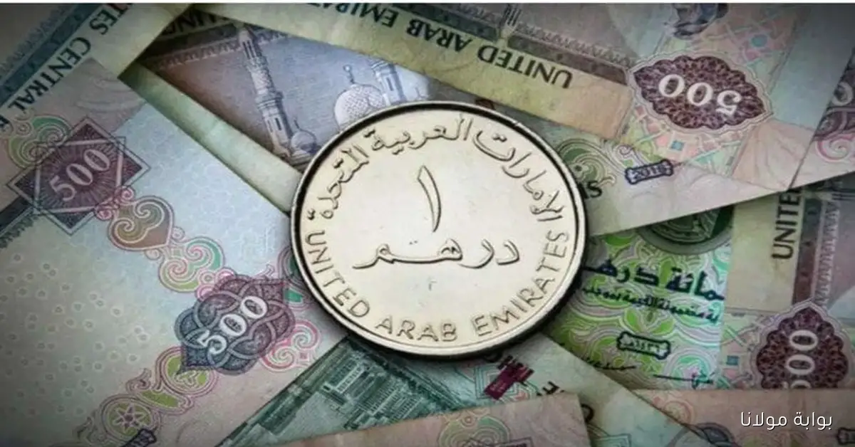تحديثات سعر الدرهم الإماراتي ليوم الجمعة 10 أكتوبر 2025