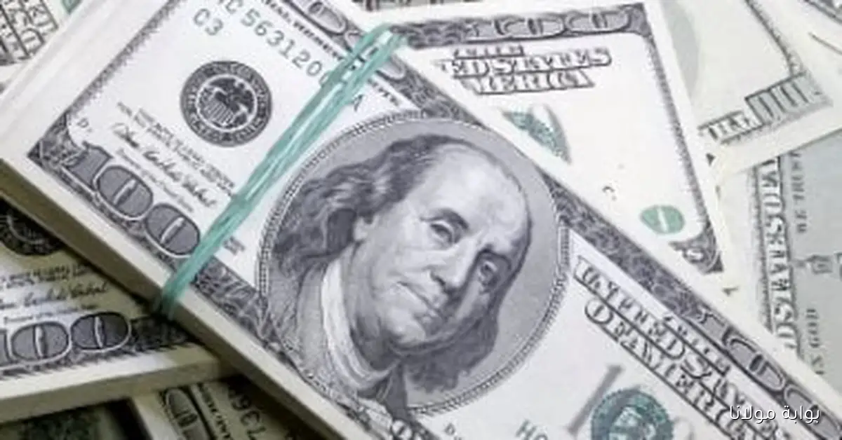 تحديثات سعر الدولار مقابل الجنيه اليوم الأربعاء 8 أكتوبر 2025 في منتصف التداولات