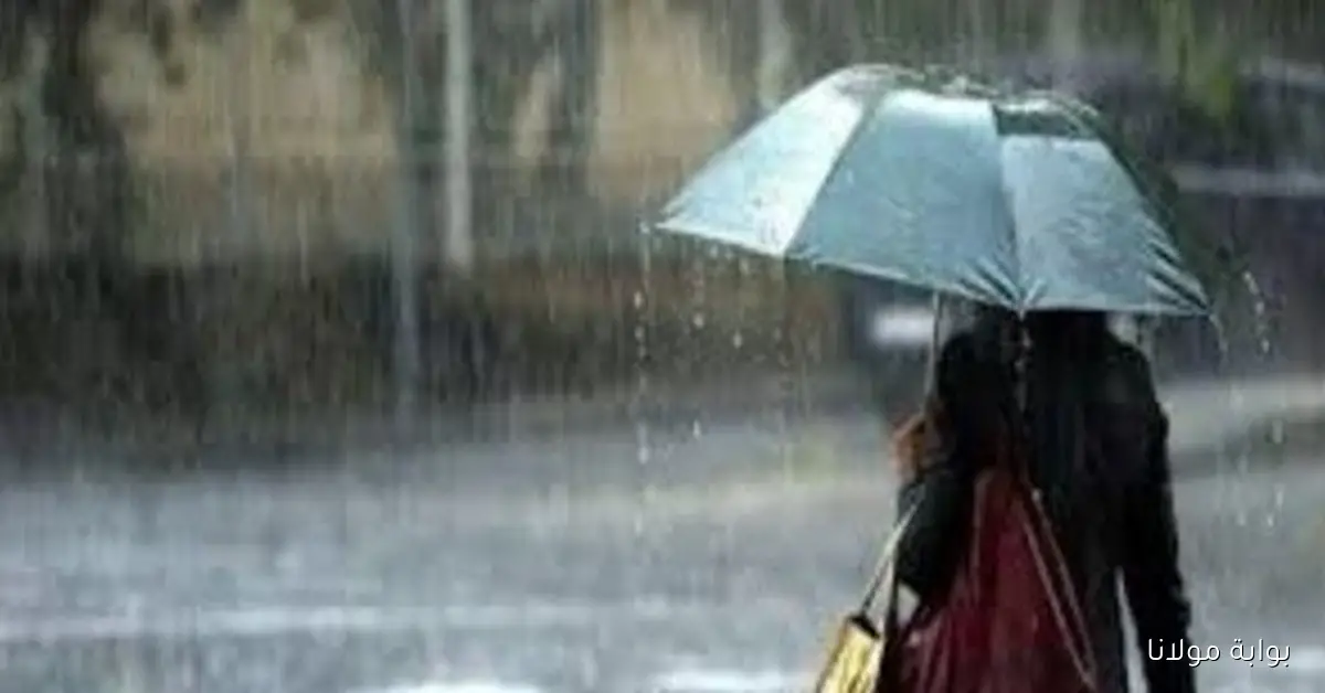 تحذيرات الأرصاد عن أمطار مستمرة وتأثيرها على الطقس في مصر الأيام القادمة