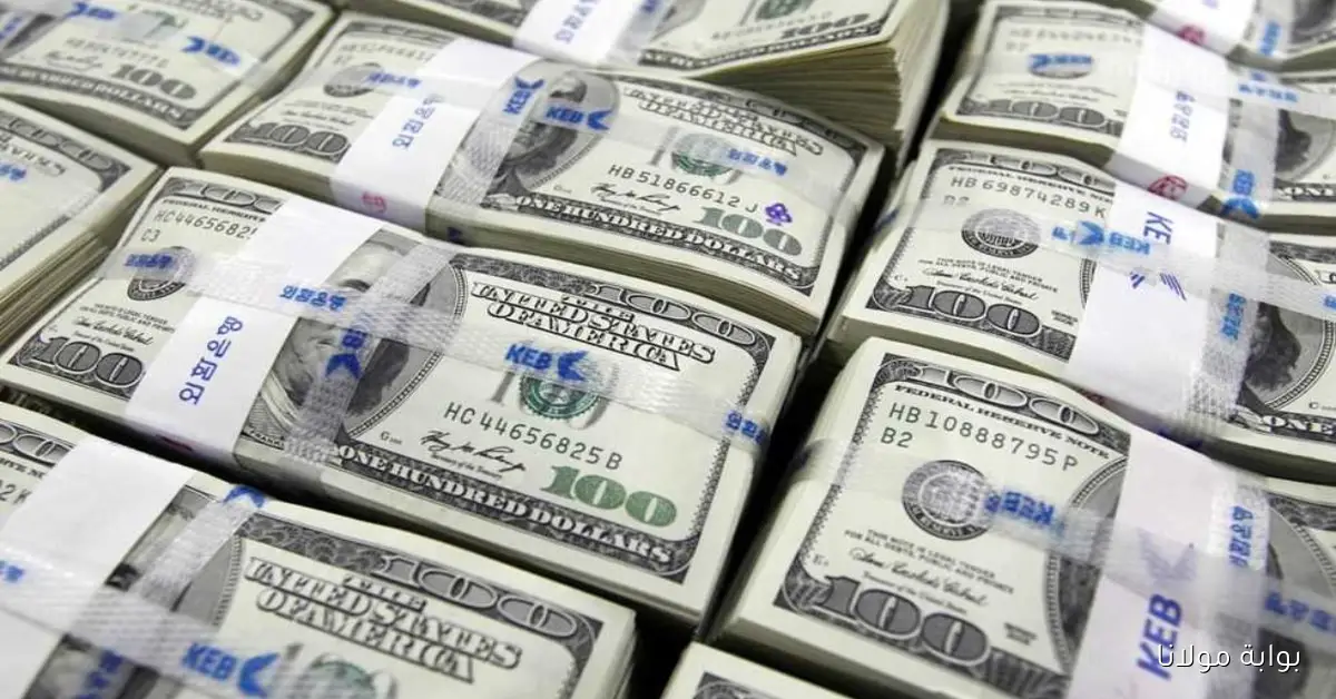 بكام الآن.. سعر صرف الليرة السورية مقابل الدولار اليوم في المصرف المركزي والسوق السوداء تحديثات لحظية في جميع المحافظات