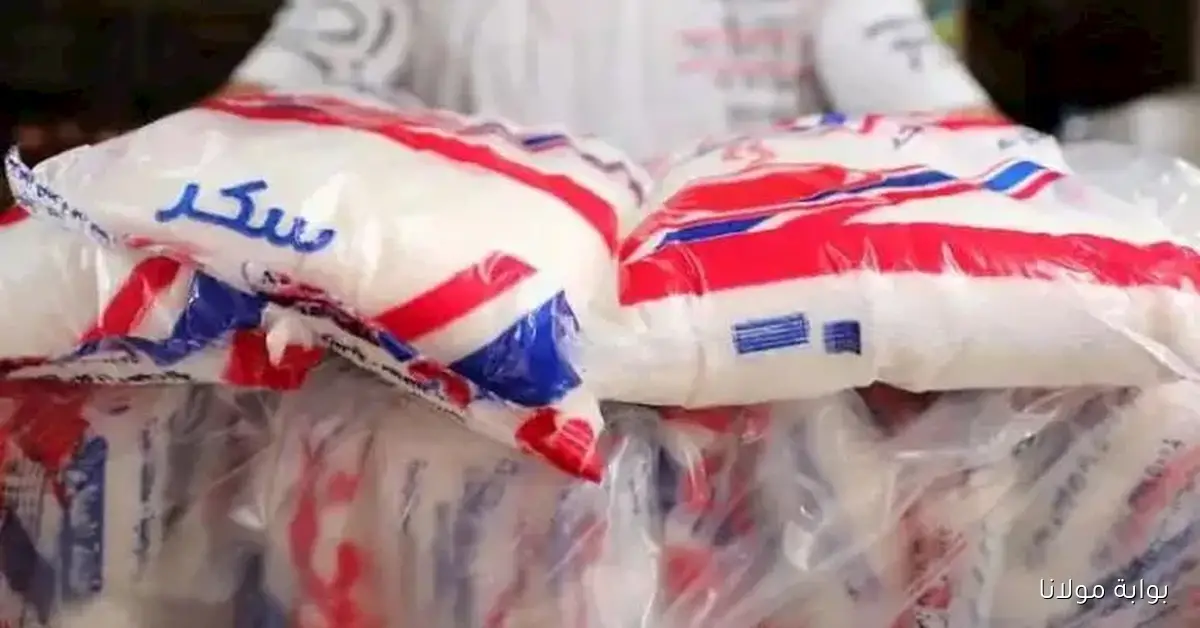 تراجع أسعار السكر بمقدار 1500 جنيه للطن نتيجة زيادة المعروض في السوق