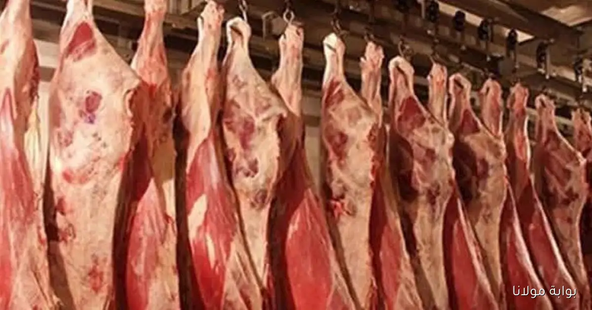 تراجع أسعار اللحوم والفراخ البيضاء في الأسواق اليوم الاثنين