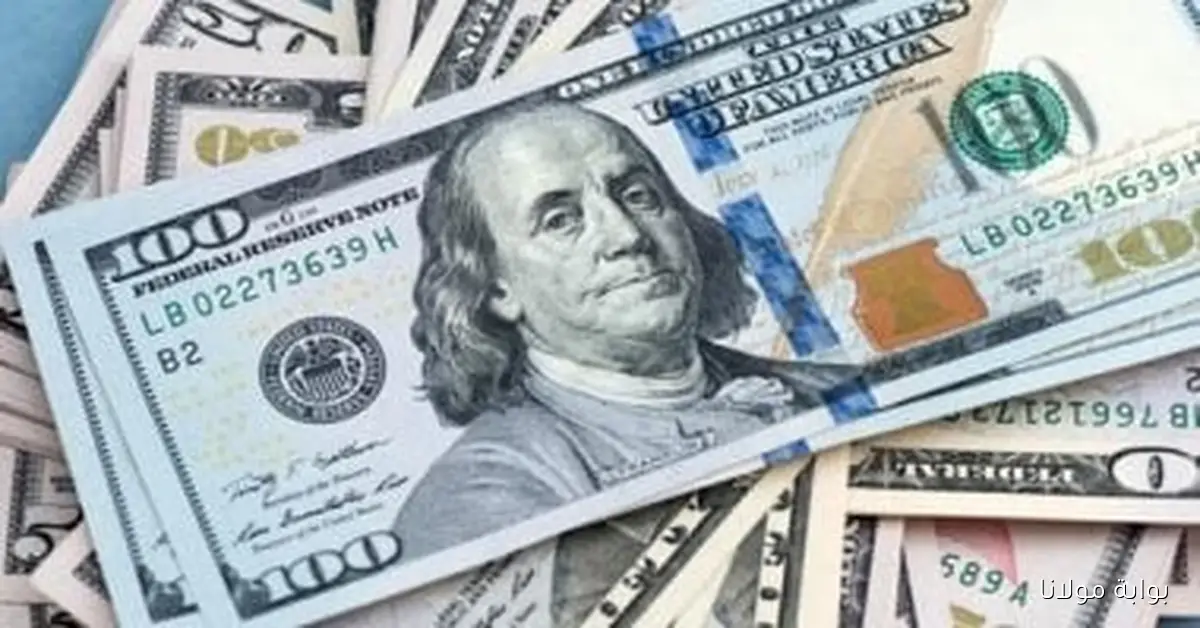 تراجع سعر الدولار في الجمعة 3-10-2025 بمتوسط 34 قرشًا خلال الأسبوع