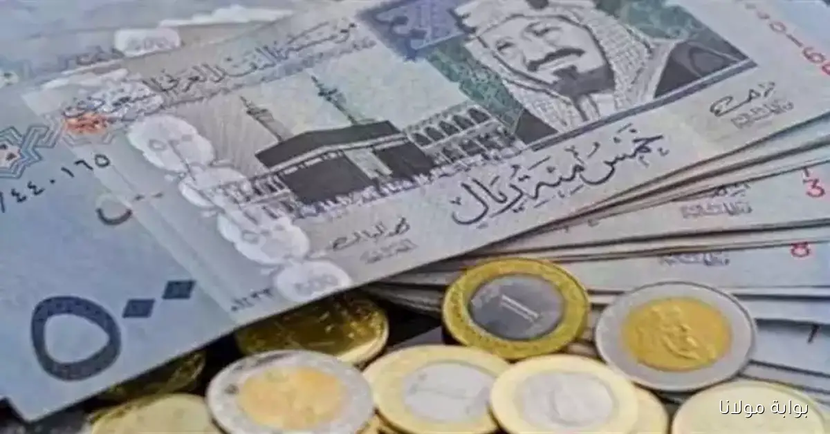 تراجع سعر الريال السعودي أمام الجنيه المصري في تعاملات اليوم