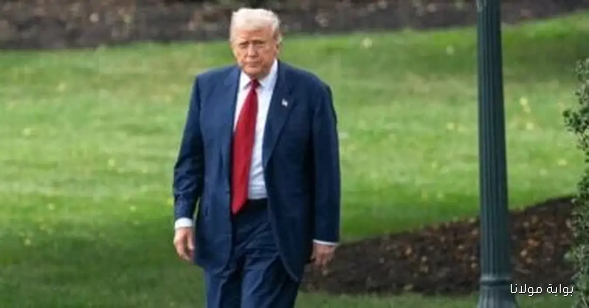 ترامب يحذر من تداعيات استمرار العنف في غزة ويشير إلى خيارات صعبة للتدخل