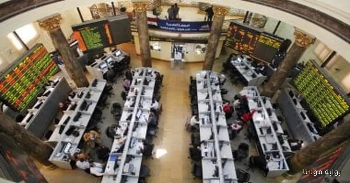 تزايد نشاط الأجانب والعرب في البورصة بينما يستمر المصريون في تحقيق النجاح في عالم التداول