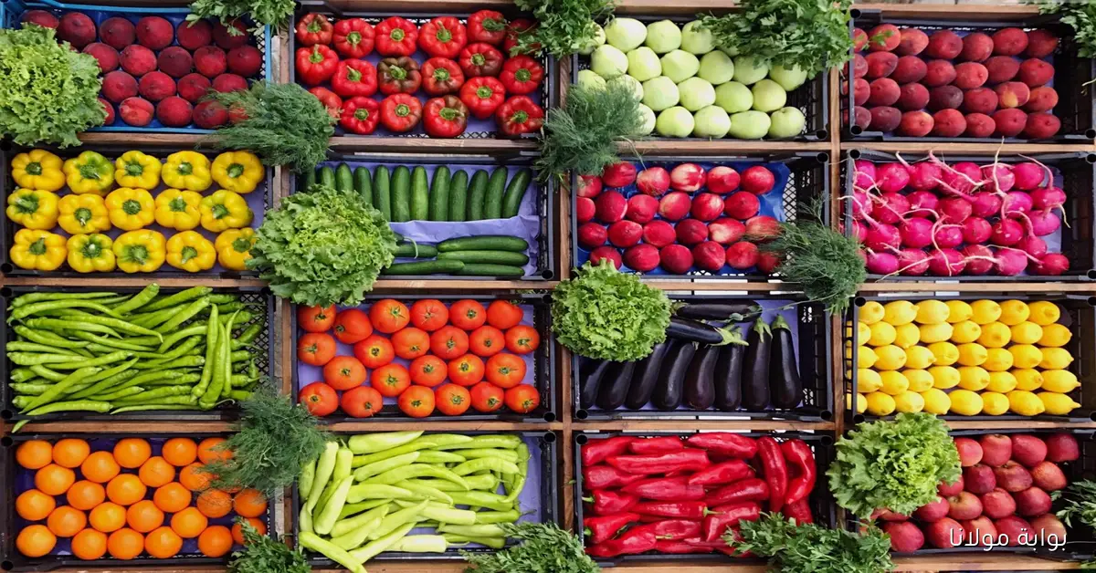 تعرّف على أحدث أسعار الخضار والفاكهة في الأسواق اليوم الجمعة 10 أكتوبر 2025