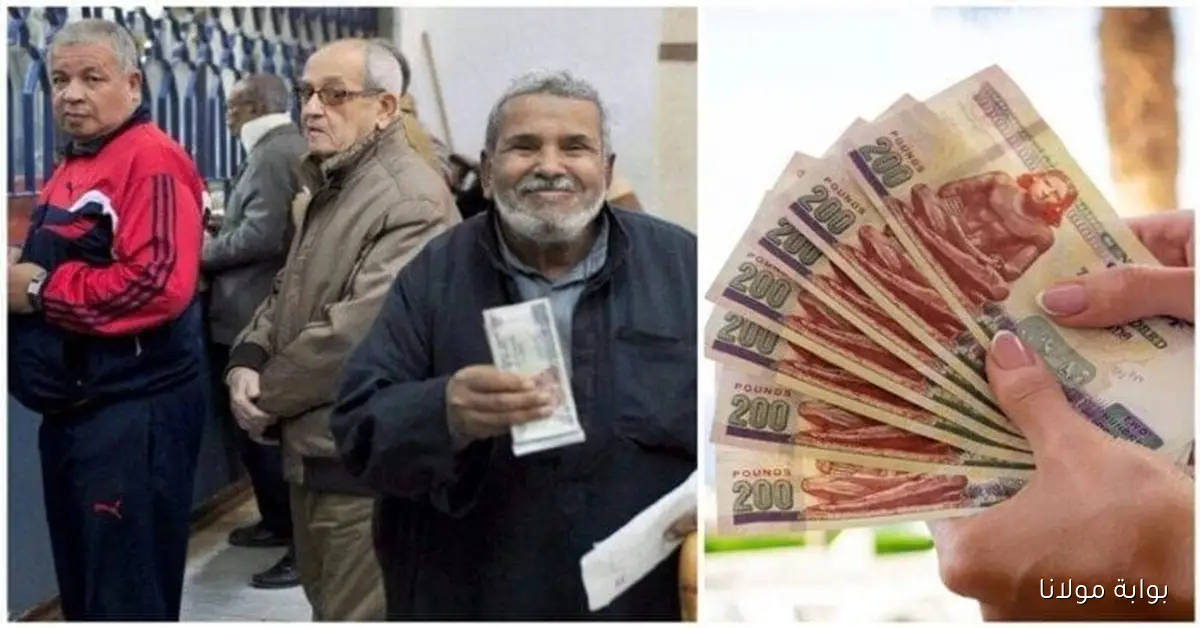 تعرّف على موعد صرف معاشات نوفمبر 2025 وكيفية الاستعداد له