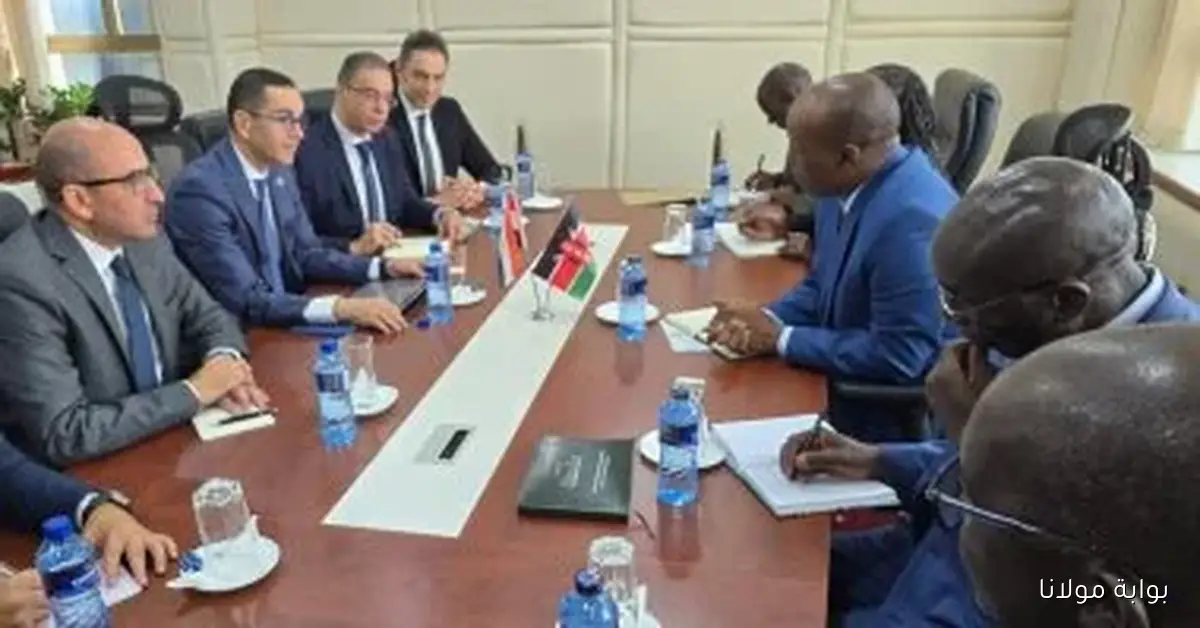 تعزيز العلاقات التجارية مع كينيا هدفنا الأساسي في وزارة الاستثمار