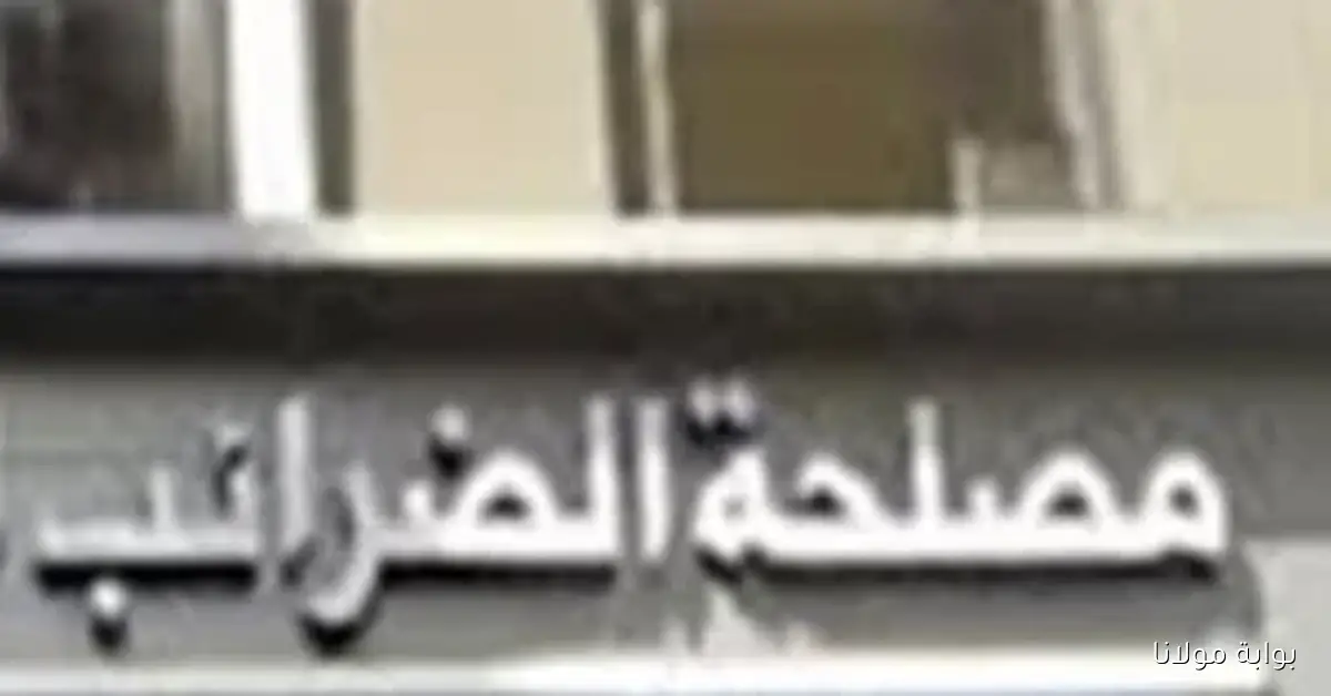 توحيد معايير ضريبة الأجور خطوة نحو تحقيق العدالة الضريبية