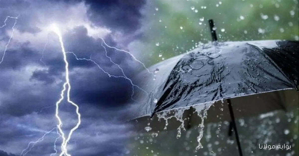 توقعات الأرصاد لحالة الطقس غدًا الأحد شبورة وأمطار خفيفة في انتظارنا