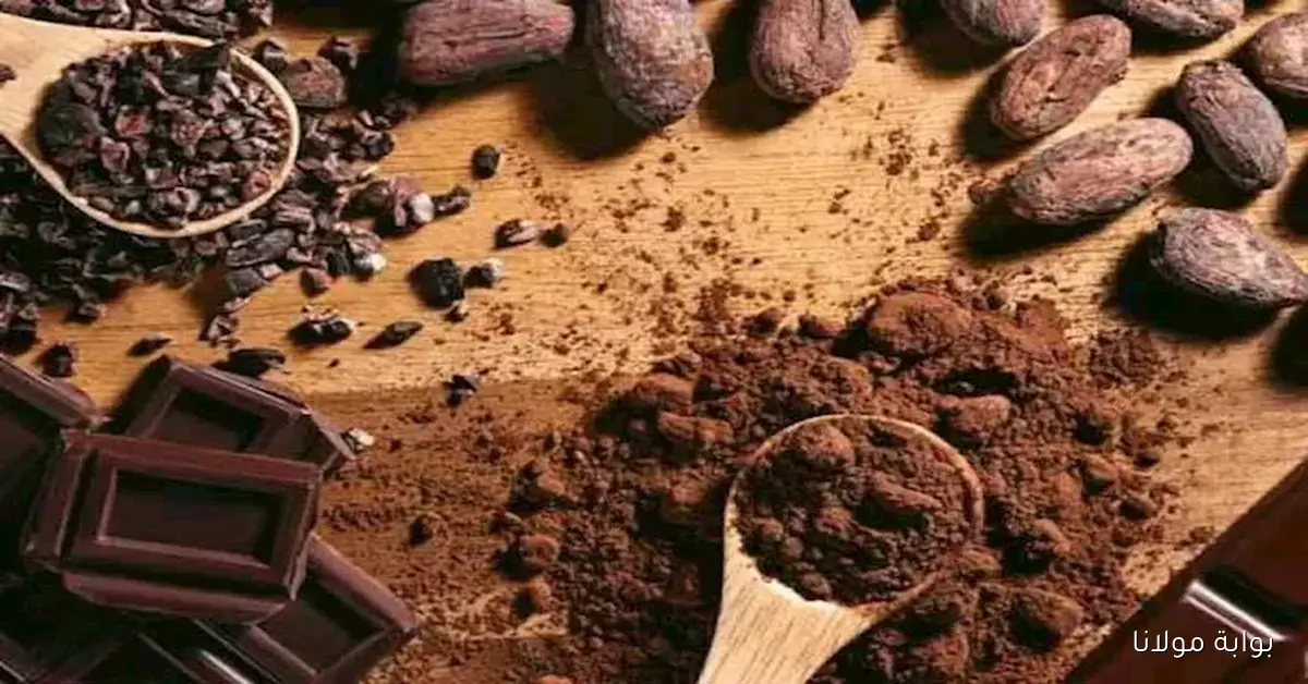 توقعات بانخفاض أسعار الكاكاو في مصر بنسبة 50% بعد تراجعها عالمياً