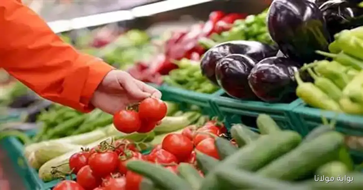 توقعات عربية أون لاين لمعدلات التضخم في 2025 تتراوح بين 14% و16%