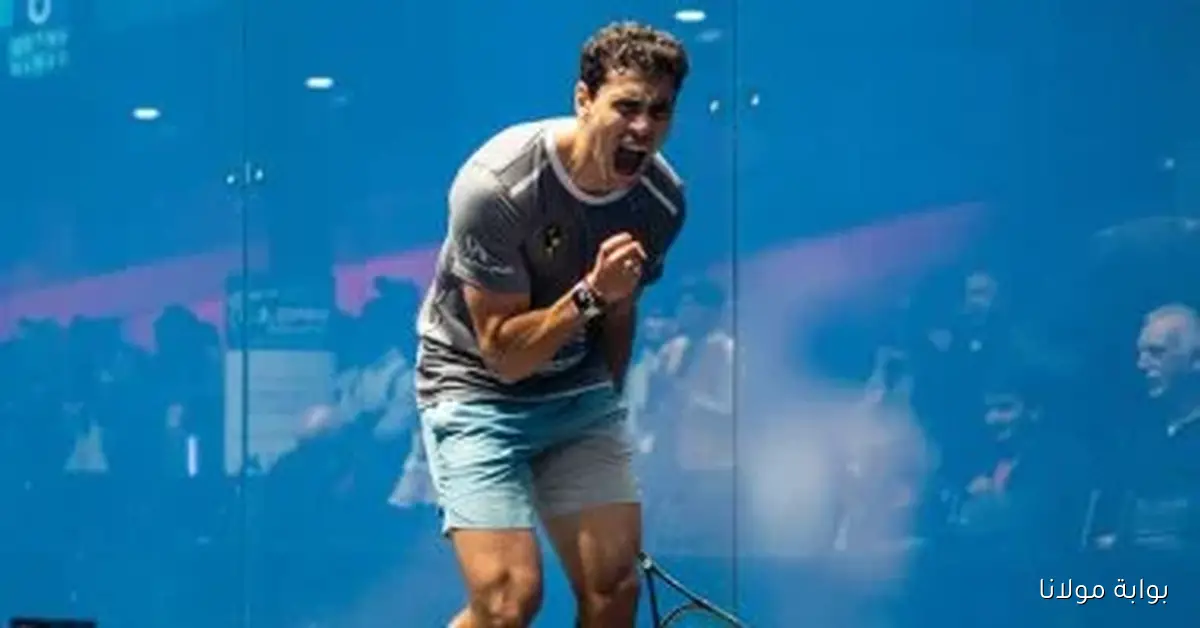 ثلاثة أبطال مصريين يحققون إنجازًا كبيرًا بالتأهل لنصف نهائي بطولة أمريكا المفتوحة للاسكواش