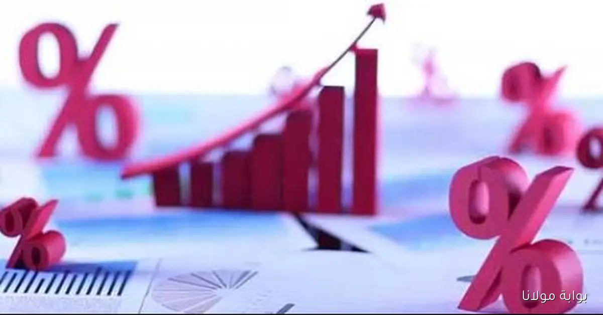 حازم المنوفي يؤكد أهمية خفض أسعار الفائدة في تعزيز نشاط السوق