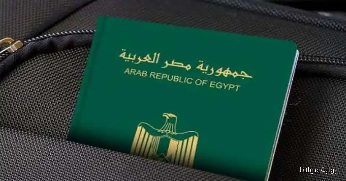 عادي ومستعجل كيفية استخراج جواز سفر أونلاين 2025 والأسعار في مصر؟