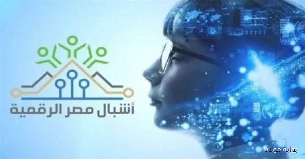 تعرف علي خطوات التسجيل في مبادرة أشبال مصر الرقمية 2025 البرامج المتاحة والشروط