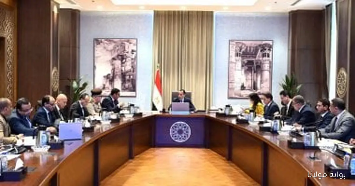 خطوات مثيرة لتطوير التجمع العمراني الجديد في جزيرة الوراق