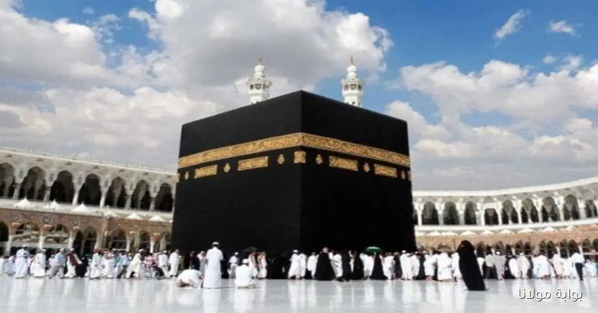 منصة «نسك»: الدليل الكامل لاستخراج تأشيرة العمرة إلكترونياً