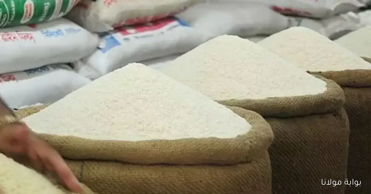 رئيس شعبة الأرز يكشف عن العوامل وراء الزيادة الأخيرة في الأسعار