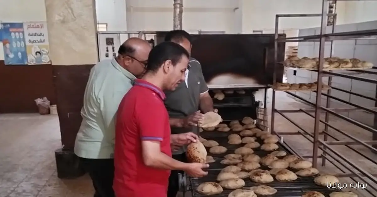 رئيس شعبة المخابز يؤكد أن رفع أسعار الوقود لن ينعكس على أسعار الخبز المدعم