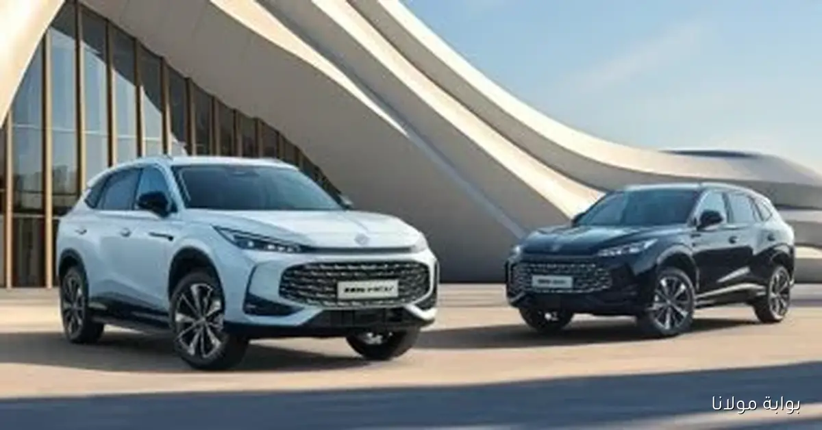 زيادة ملحوظة في أسعار تراخيص السيارات بمصر تصل إلى 8% في سبتمبر 2025